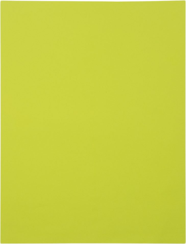 Wasabi Lime Green 32lb 10 x 13 Open End Envelopes with Peel & Seal