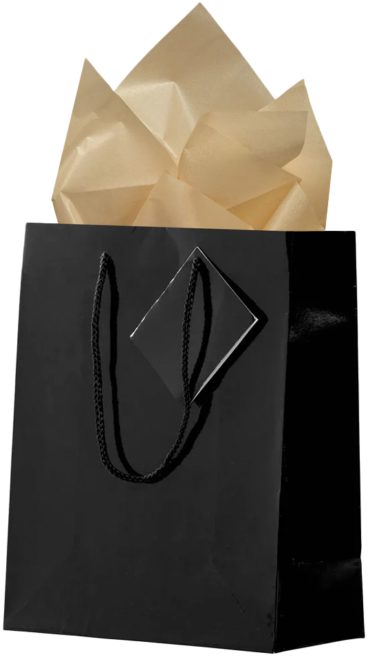 Black/Gold Medium Glossy Gift Bags (8 x 10 x 4) (3 Pack) with Tissue Paper (10 Pack)