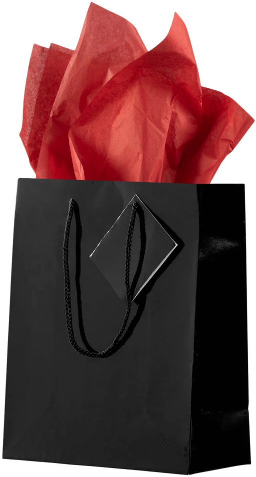 Black/Red Medium Glossy Gift Bags (8 x 10 x 4) (3 Pack) with Tissue Paper (10 Pack)