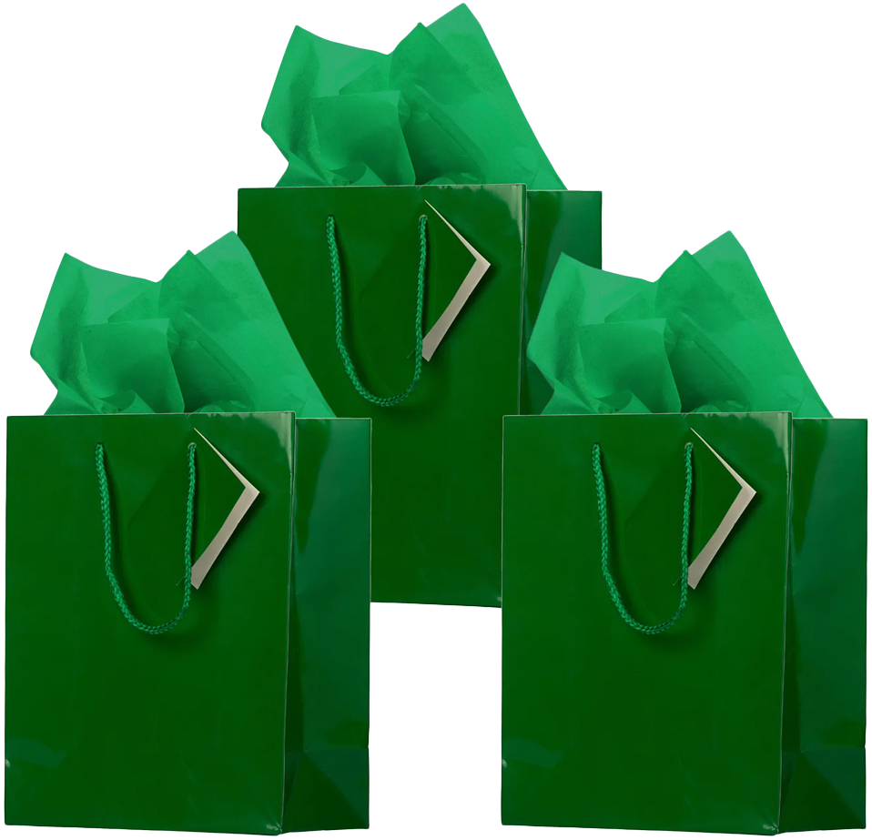 Green Medium Glossy Gift Bags (8 x 10 x 4) (3 Pack) with Tissue Paper (10 Pack)