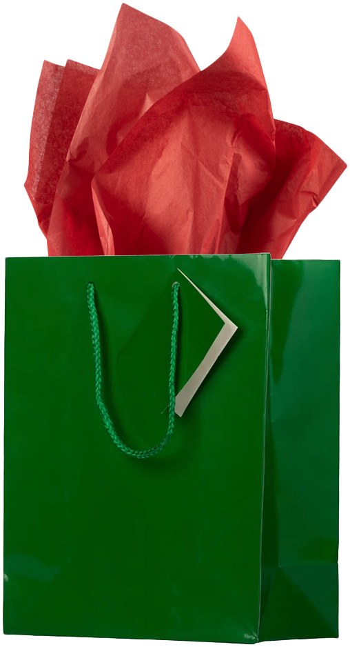 Green/Red Medium Glossy Gift Bags (8 x 10 x 4) (3 Pack) with Tissue Paper (10 Pack)