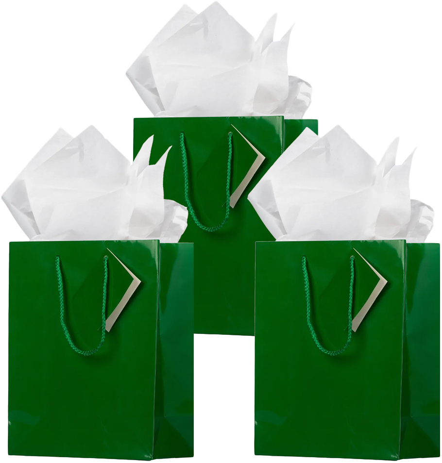 Green/White Medium Glossy Gift Bags (8 x 10 x 4) (3 Pack) with Tissue Paper (10 Pack)