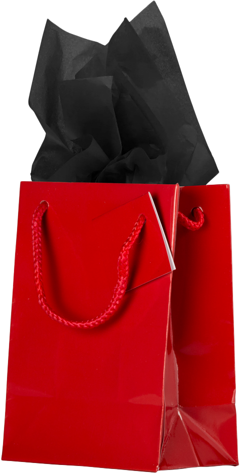 Red/Black Medium Glossy Gift Bags (8 x 10 x 4) (3 Pack) with Tissue Paper (10 Pack)