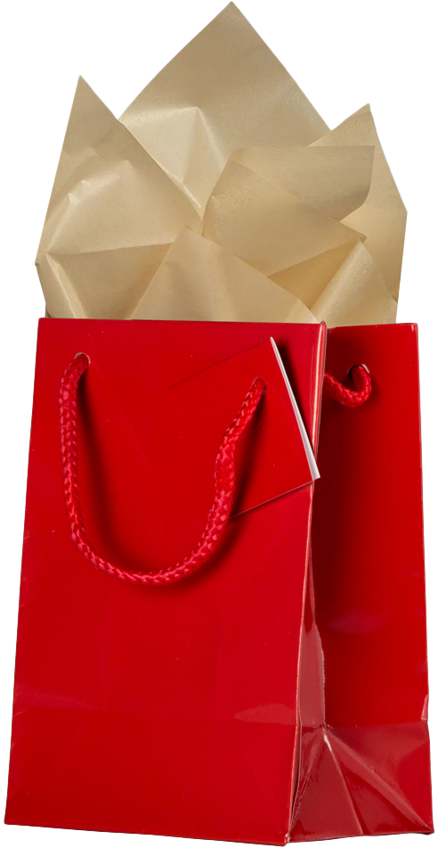 Red/Gold Medium Glossy Gift Bags (8 x 10 x 4) (3 Pack) with Tissue Paper (10 Pack)