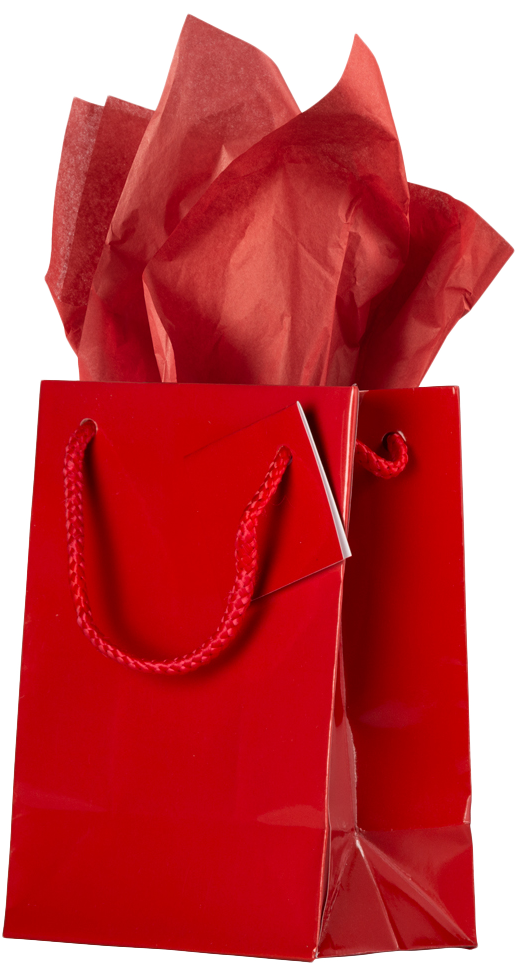 Red Medium Glossy Gift Bags (8 x 10 x 4) (3 Pack) with Tissue Paper (10 Pack)