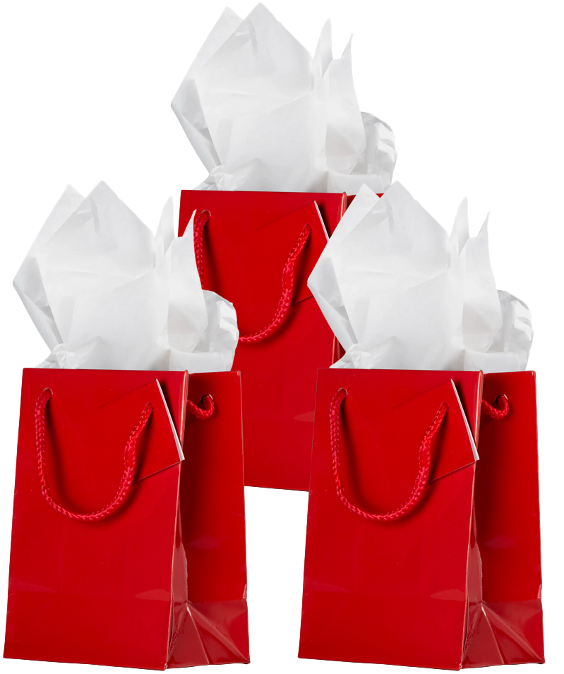 Red/White Medium Glossy Gift Bags (8 x 10 x 4) (3 Pack) with Tissue Paper (10 Pack)