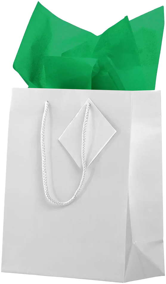 White/Green Medium Glossy Gift Bags (8 x 10 x 4) (3 Pack) with Tissue Paper (10 Pack)