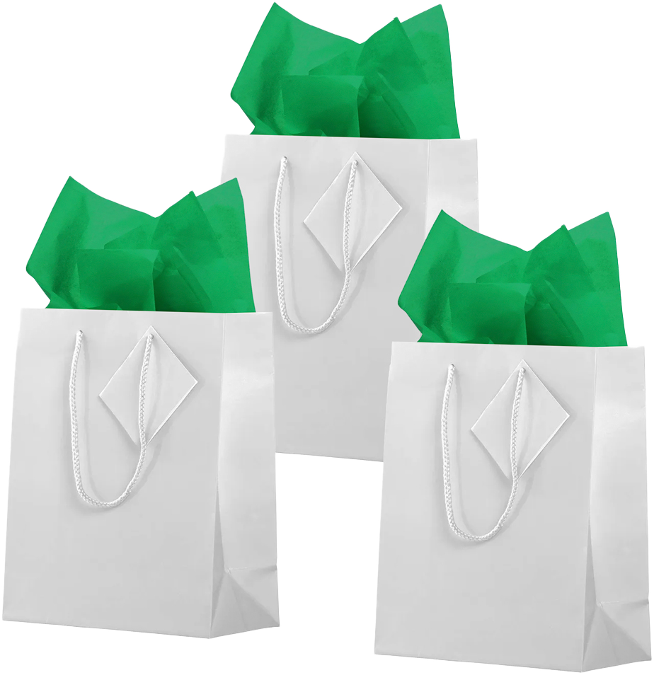 White/Green Medium Glossy Gift Bags (8 x 10 x 4) (3 Pack) with Tissue Paper (10 Pack)