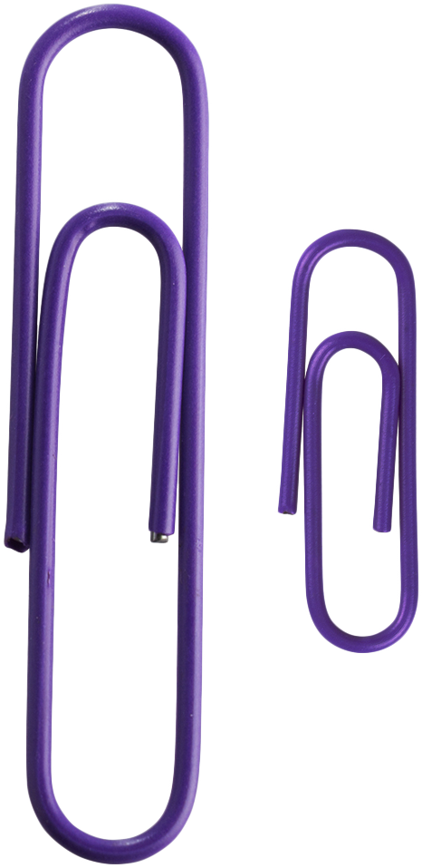 Purple Standard & Jumbo Paper Clips Assortment Pack - 1 Pack Each (175 Clips Total)