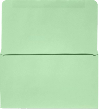 Pastel Green 24lb Remittance Envelopes (3 5/8 x 6 1/2 Closed)