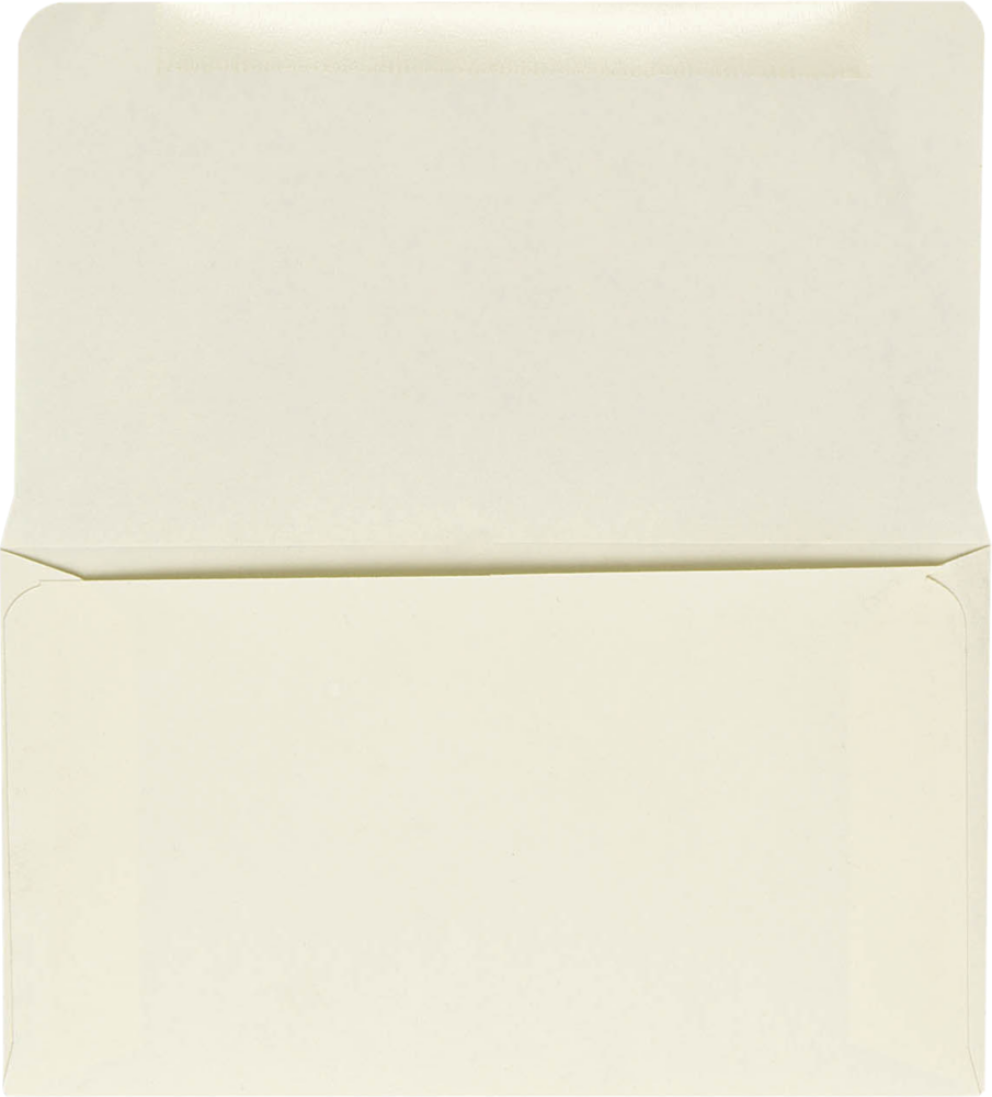 Pastel Natural Cream 24lb Remittance Envelopes (3 1/2 x 6 Closed)