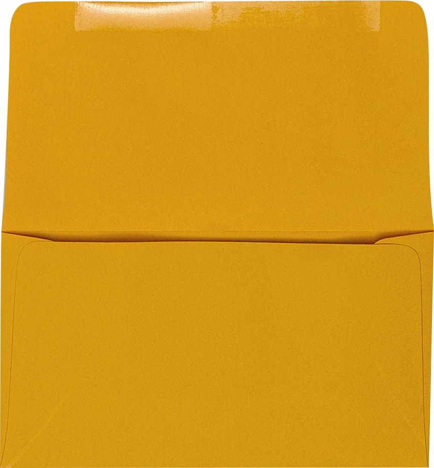 Goldenrod 24lb Remittance Envelopes (3 1/2 x 6 Closed)