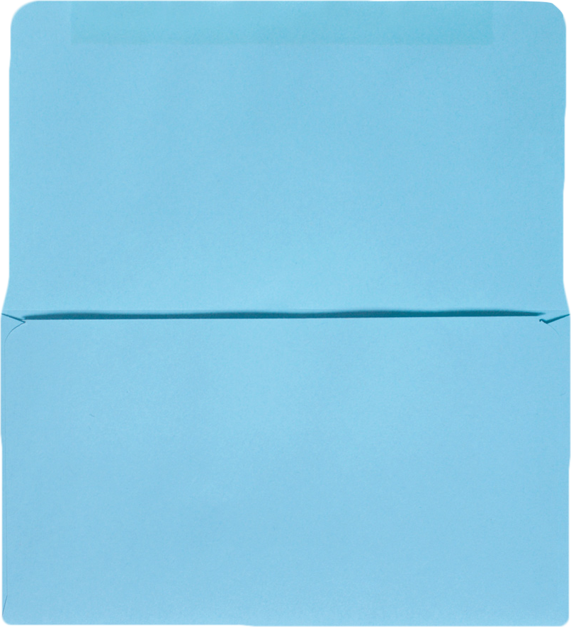 Pastel Blue 24lb Remittance Envelopes (3 1/2 x 6 Closed)