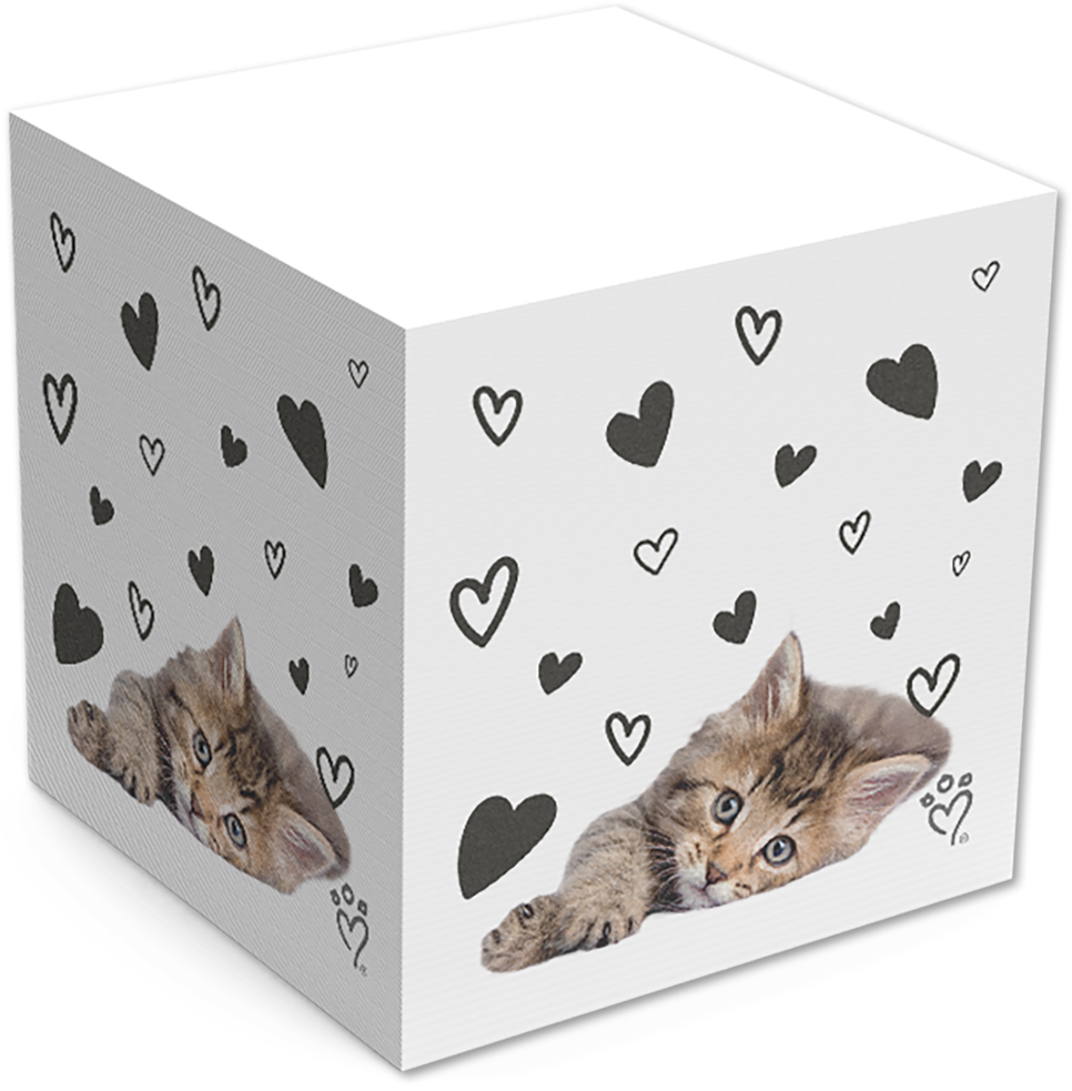Rachael Hale Cat Sticky Note Cube