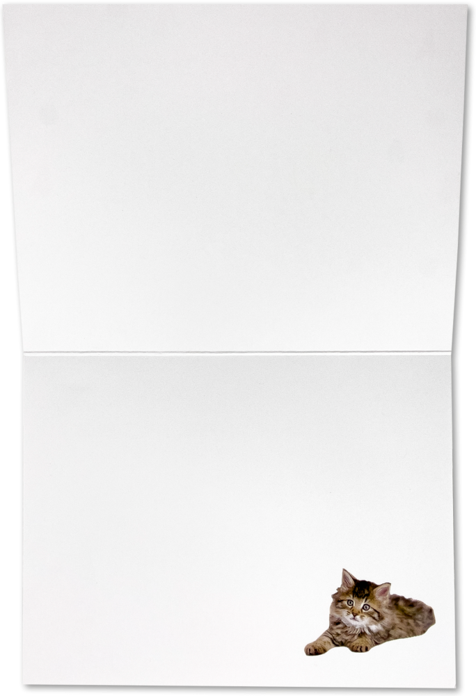 Rachael Hale Cat A2 Thank You Cards - 10 Pack