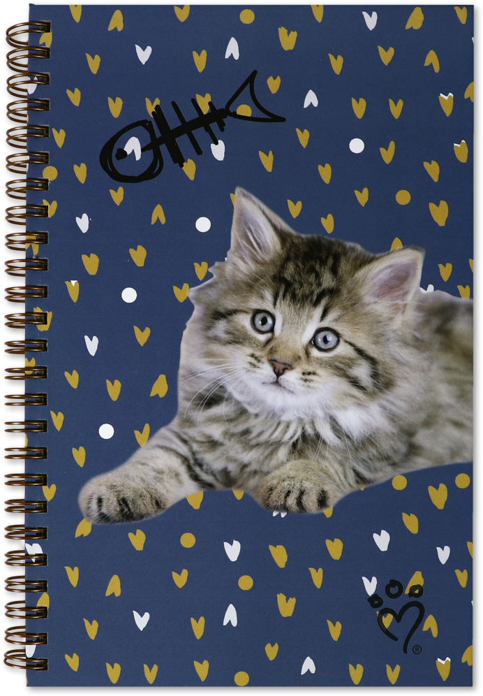 Rachael Hale Cat 5 1/2 x 8 1/2 Spiral Notebooks