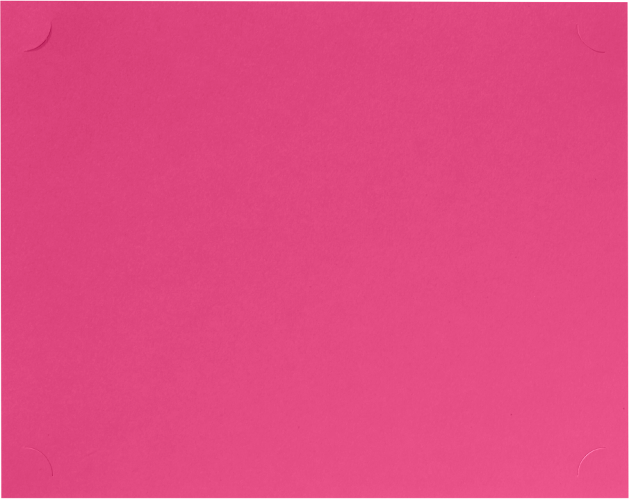 Fuchsia Pink Magenta 9 1/2 x 12 Single Certificate Holders