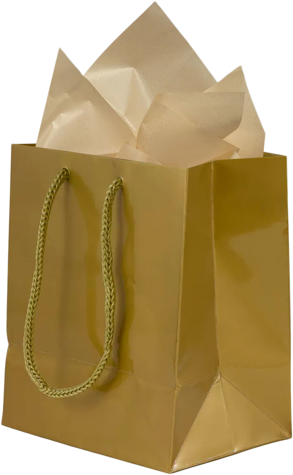 Gold Small Glossy Gift Bags (6 1/2 x 6 1/2 x 3 1/2) (3 Pack) with Tissue Paper (10 Pack)