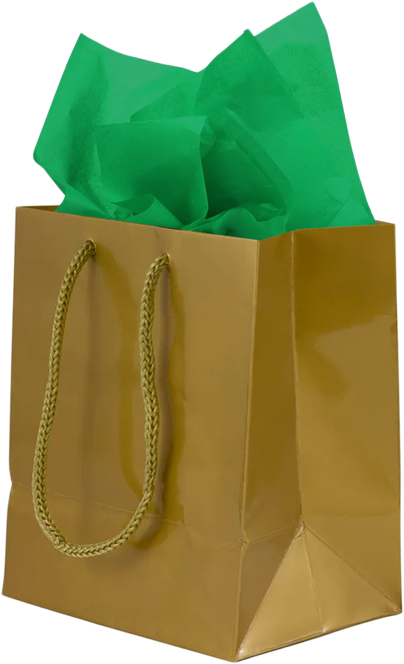 Gold/Green Small Glossy Gift Bags (6 1/2 x 6 1/2 x 3 1/2) (3 Pack) with Tissue Paper (10 Pack)