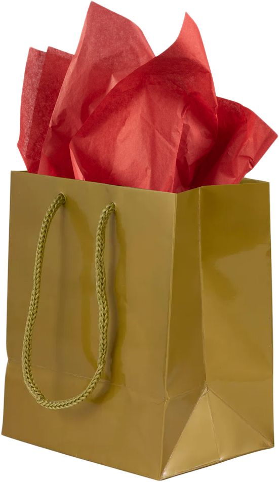 Gold/Red Small Glossy Gift Bags (6 1/2 x 6 1/2 x 3 1/2) (3 Pack) with Tissue Paper (10 Pack)