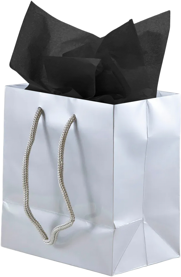 Silver/Black Small Glossy Gift Bags (6 1/2 x 6 1/2 x 3 1/2) (3 Pack) with Tissue Paper (10 Pack)
