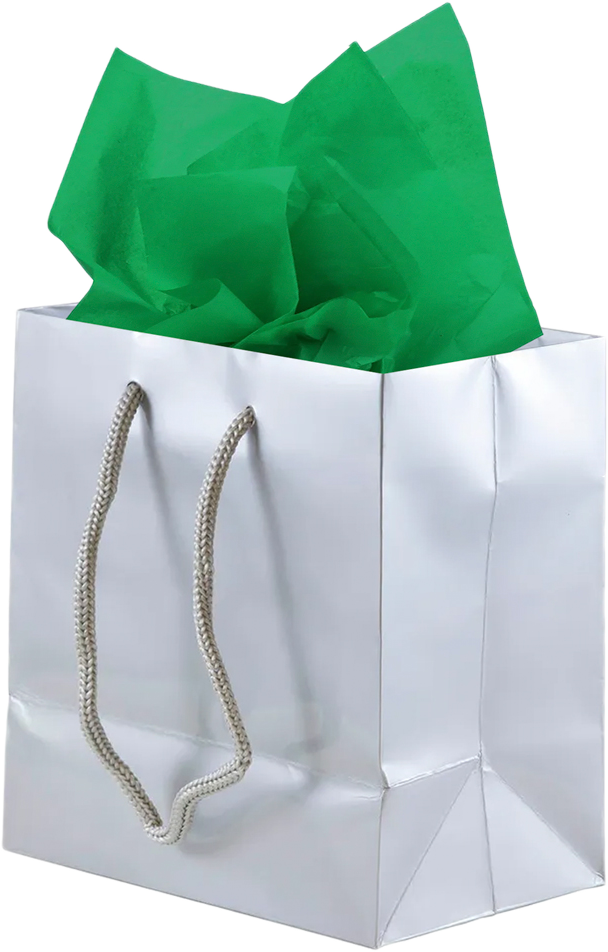 Silver/Green Small Glossy Gift Bags (6 1/2 x 6 1/2 x 3 1/2) (3 Pack) with Tissue Paper (10 Pack)