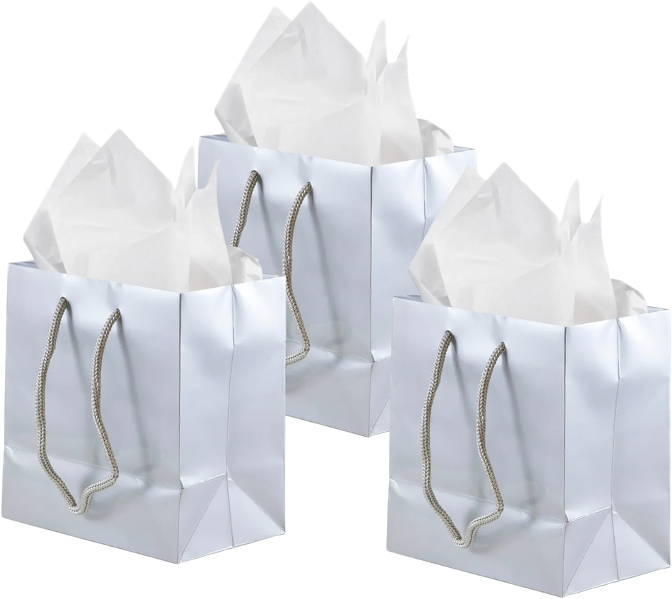 Silver/White Small Glossy Gift Bags (6 1/2 x 6 1/2 x 3 1/2) (3 Pack) with Tissue Paper (10 Pack)