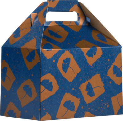 Blue and Orange Splatter Flower Medium Gable Gift Boxes (4 x 8 x 5 1/4)