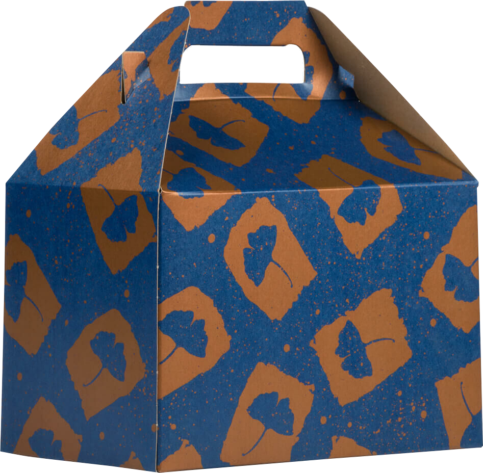 Blue and Orange Splatter Flower Medium Gable Gift Boxes (4 x 8 x 5 1/4)