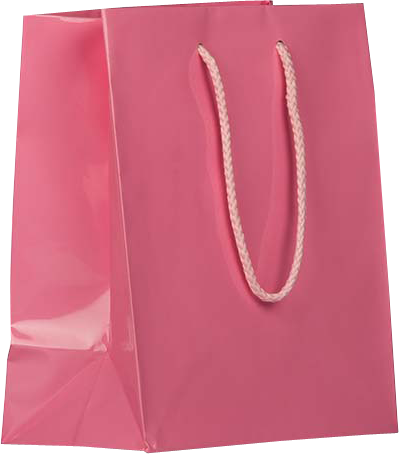 Pink Medium Glossy Gift Bags (8 x 10 x 4)