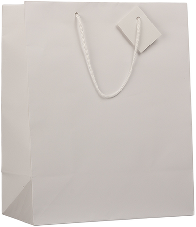 White Large Matte Gift Bags (10 x 13 x 5)