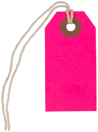 Neon Pink Tiny Gift Tags (2 3/4 x 1 3/8) - 10 Pack