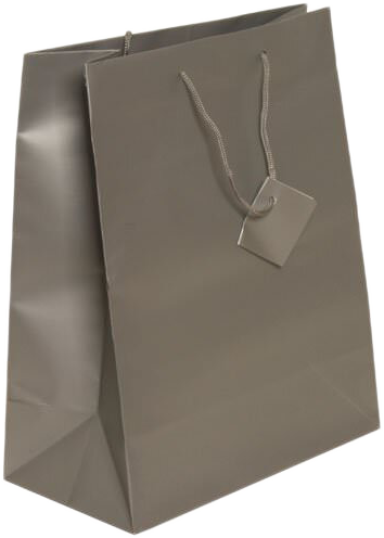 Silver Large Matte Gift Bags (10 x 13 x 5)