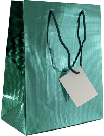 Teal Foil Medium Checkered Gift Bags (8 x 10 x 4)