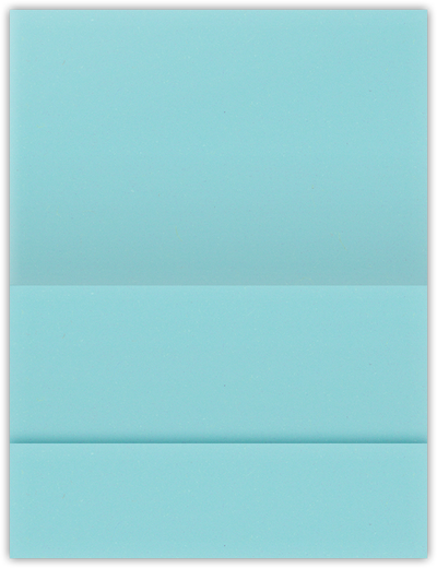 Berrylicious Vellum 100lb 5 1/8 x 3 3/8 One Pocket Landscape Photo Holders with 1 3/8 Inch Pocket