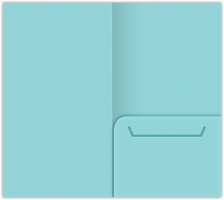Berrylicious Vellum 100lb 3 3/8 x 6 One Pocket Key Card Holders with 2 1/2 Inch Pocket