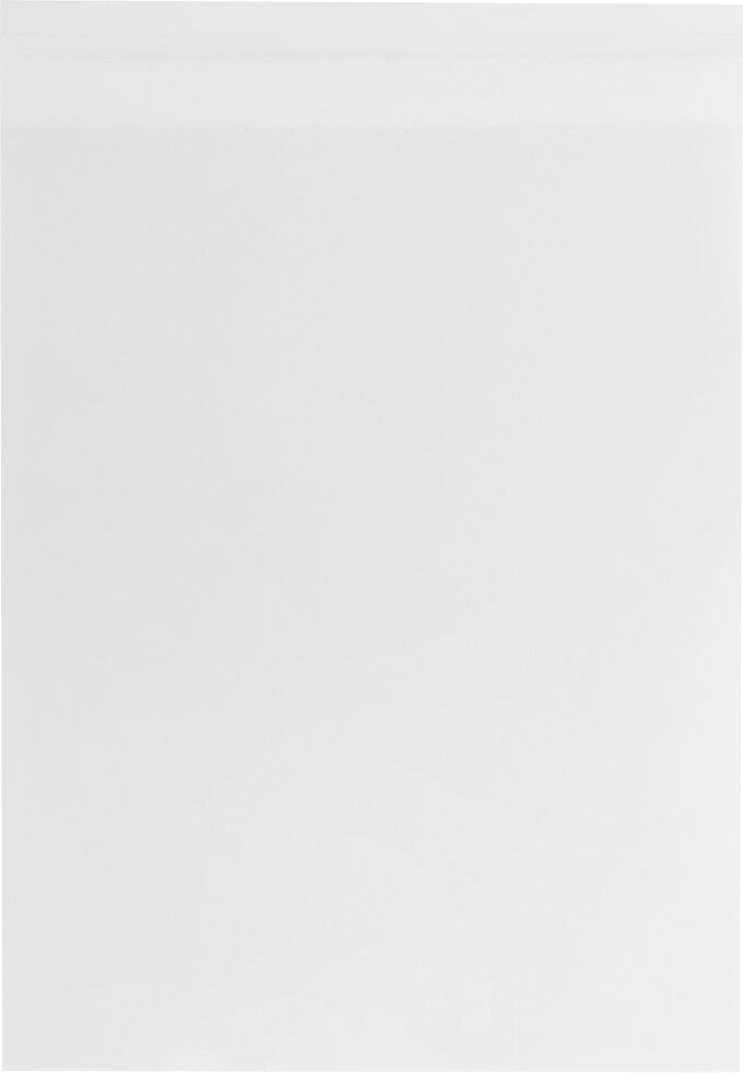 Clear 1.6mil 11 1/4 x 14 1/4 Cello Envelopes with Peel & Seal