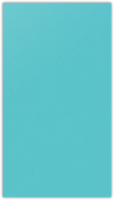 Blue Raspberry Vellum 100lb 3 3/8 x 6 One Pocket Key Card Holders with 2 1/2 Inch Pocket