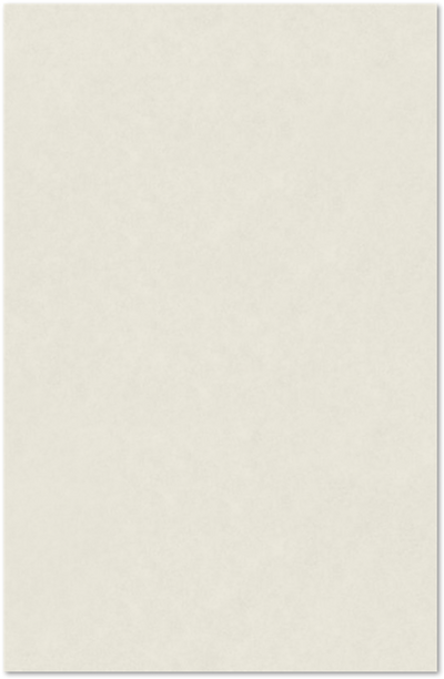 Natural White 100% Cotton 118lb 11 x 17 Cardstock