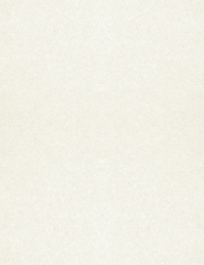 White Quartz Metallic 105lb 11 x 17 Cardstock