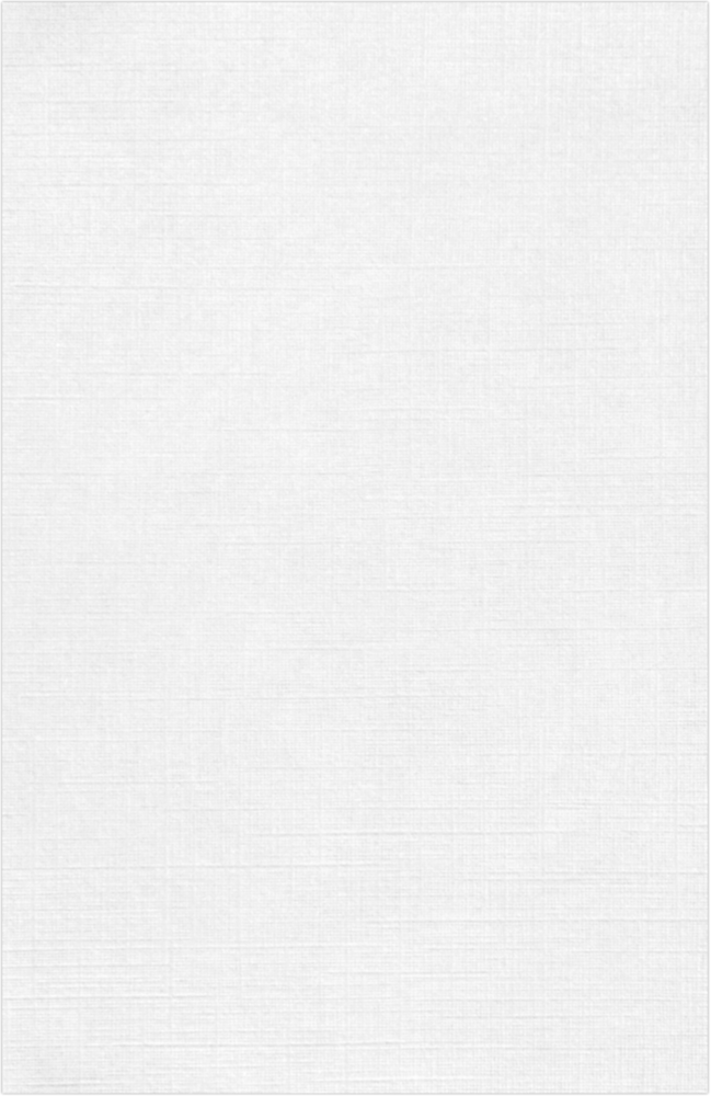 White Linen 100lb 11 x 17 Cardstock