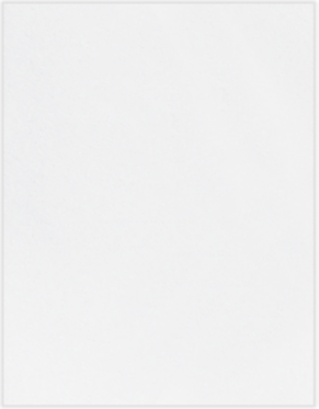 Bright White 32lb Cougar 11 x 17 Premium Paper
