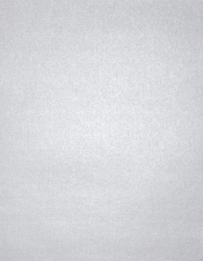 Silver Metallic 32lb 11 x 17 Paper