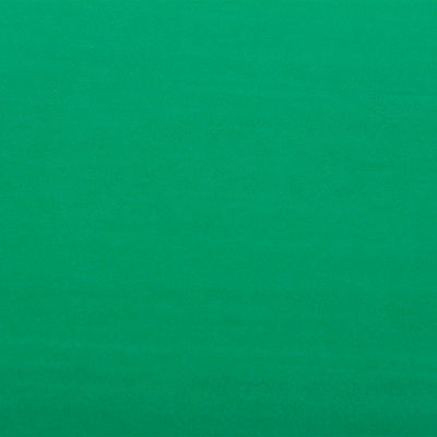 Green Tissue Paper Ream (20 x 26) - 480 Sheets