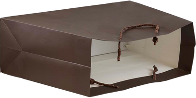 Chocolate Brown Large Matte Trapezoid Gift Bags (12 x 5 x 11)