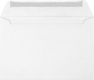IRS State Tax 24lb 6 x 9 Booklet Envelopes