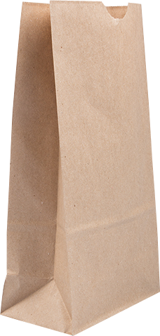 Brown Kraft Medium Paper Lunch Bags (5 x 9 3/4 x 3) - 25 Pack