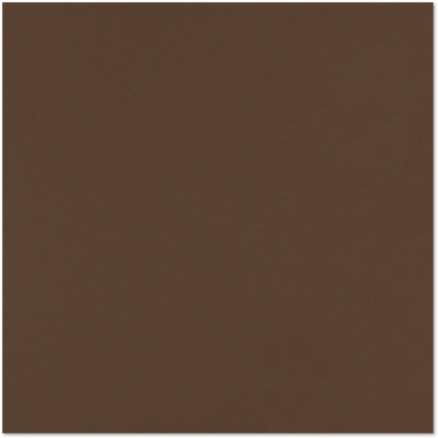 Chocolate Brown 100lb 12 x 12 Cardstock