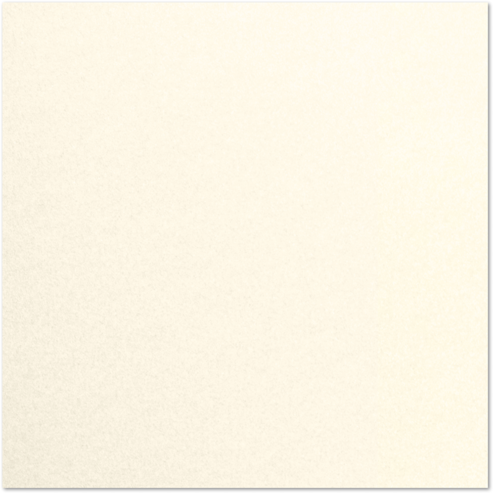 Champagne Ivory Metallic 32lb 12 x 12 Paper