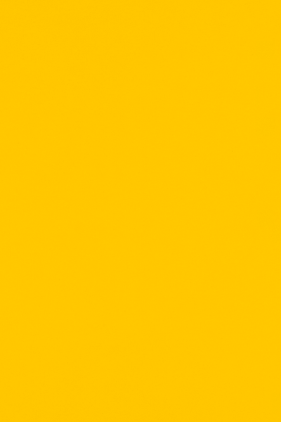 Sunflower Yellow 100lb 12 x 18 Cardstock